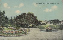 A Scene in City Park. Monrovia, Cal.